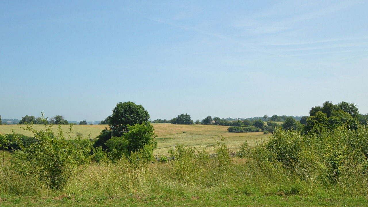 Photo of Others in Savignac-Ledrier