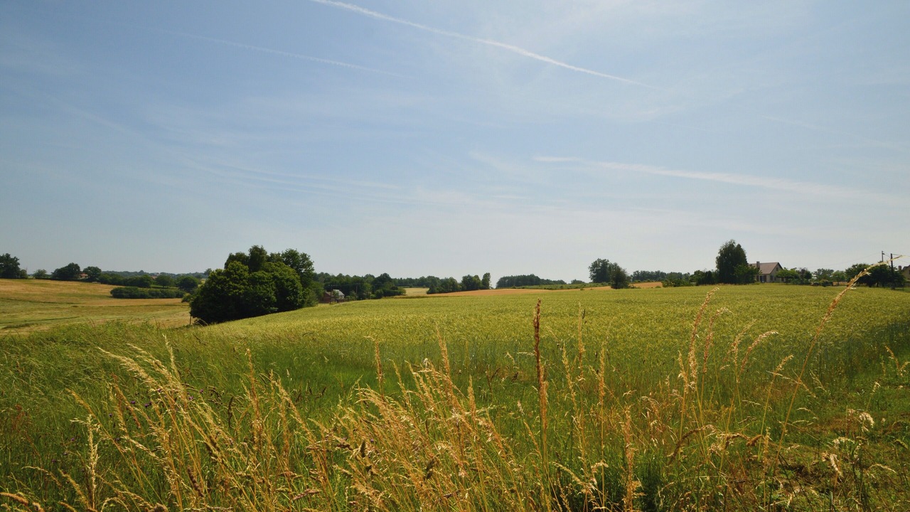 Photo of Others in Savignac-Ledrier