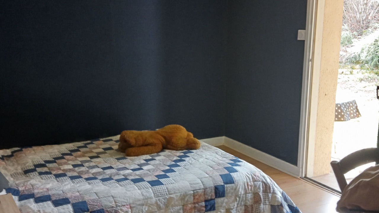 Photo of Bedroom in Montignac