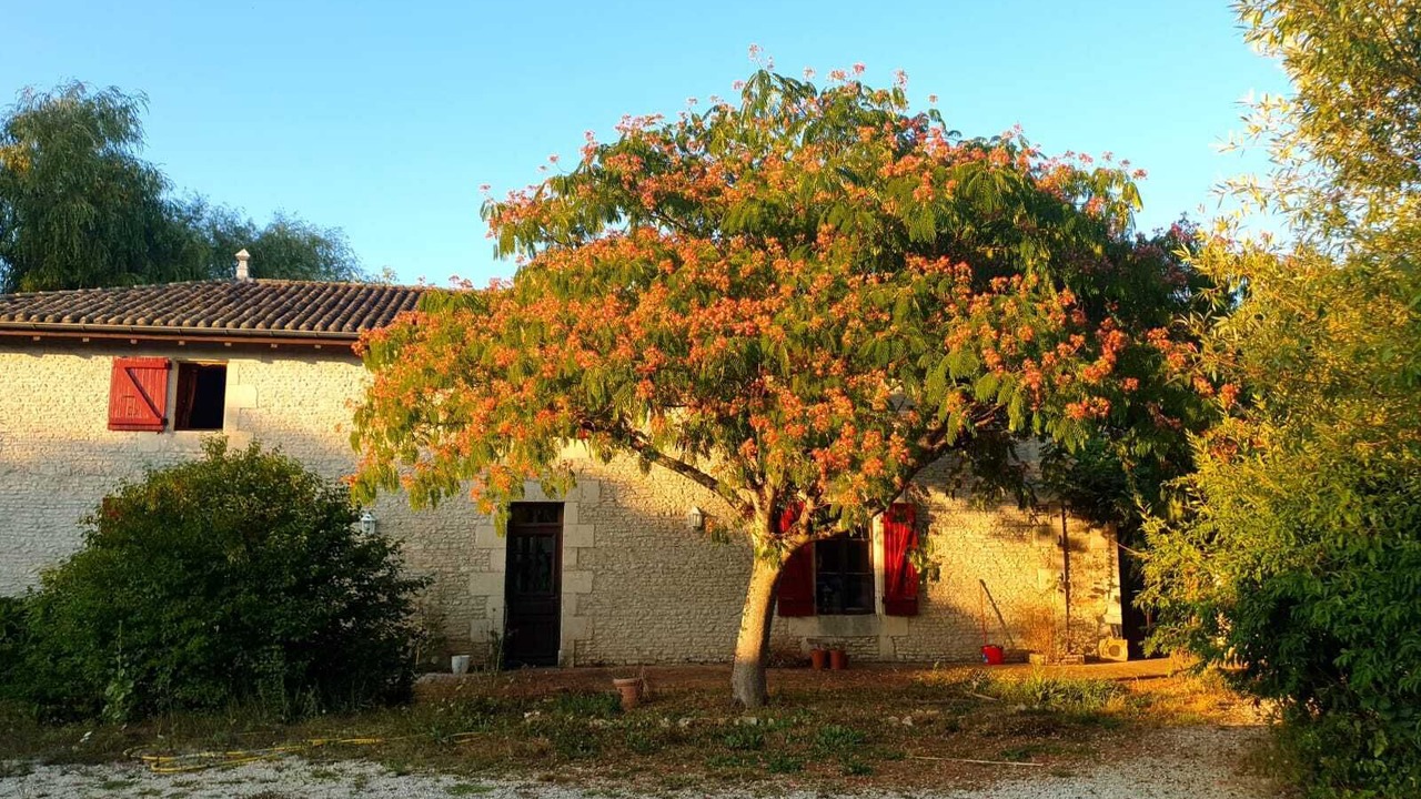 Photo of Outdoor in Voulon