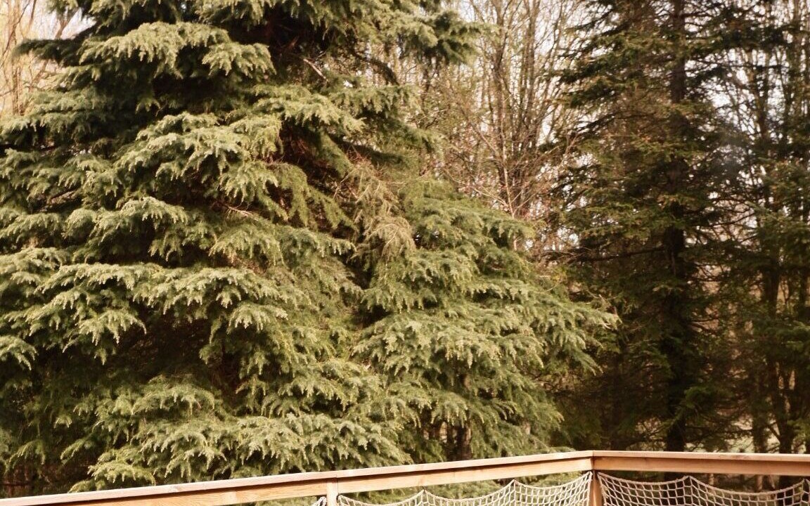 Photo of Outdoor in Voulon
