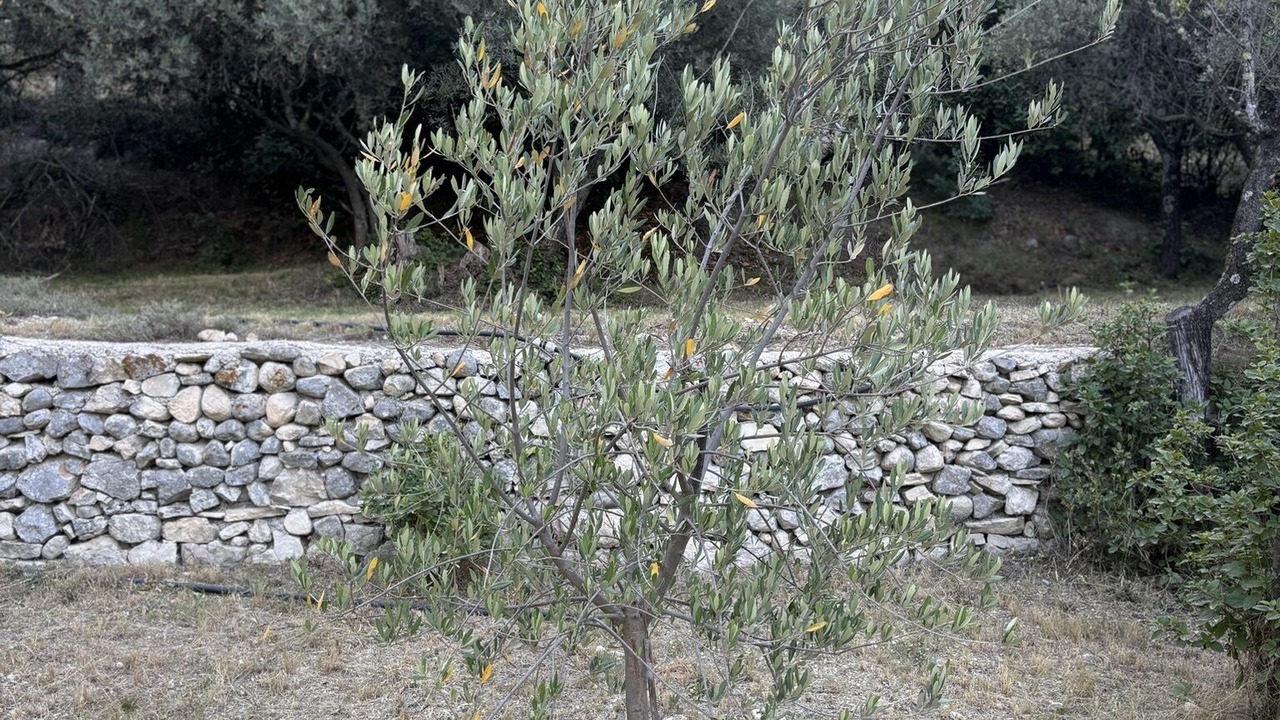 Photo of Outdoor in Allauch