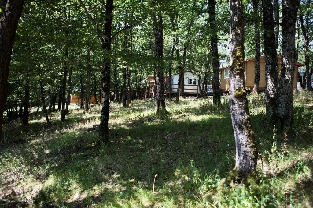 Photo of Outdoor in Peyrignac