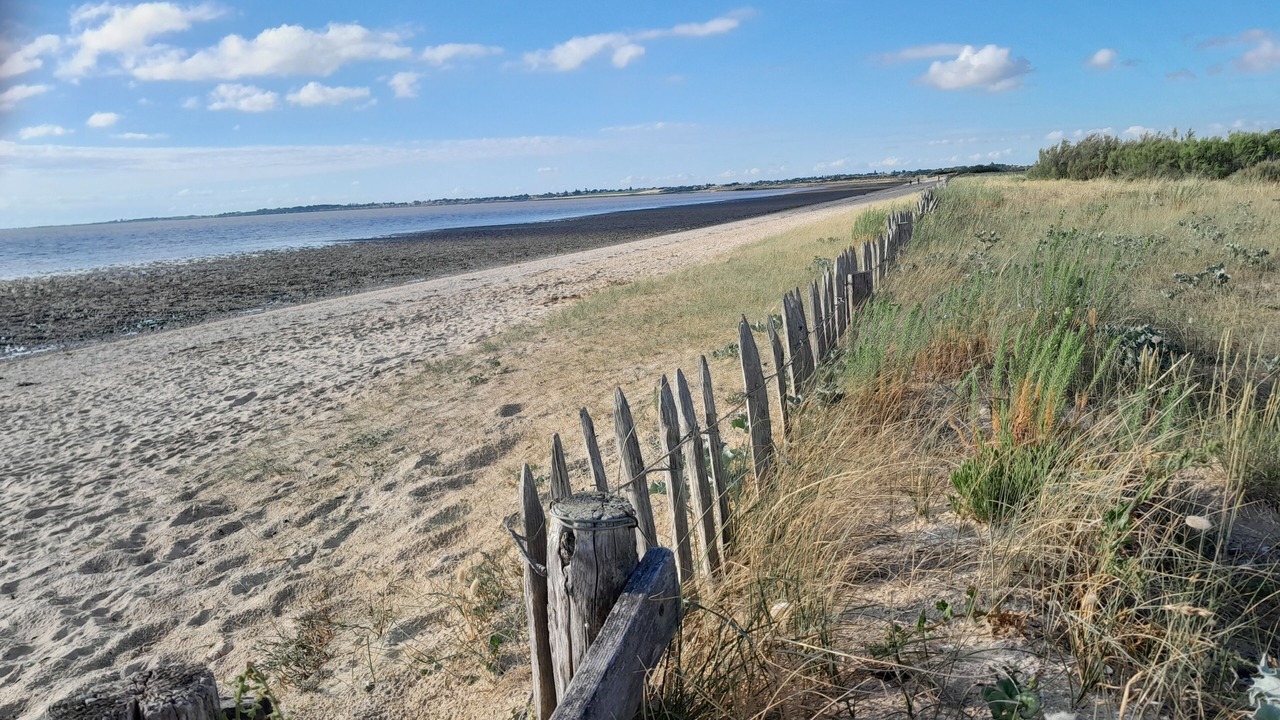 Photo of Others in Saint Nazaire sur Charente