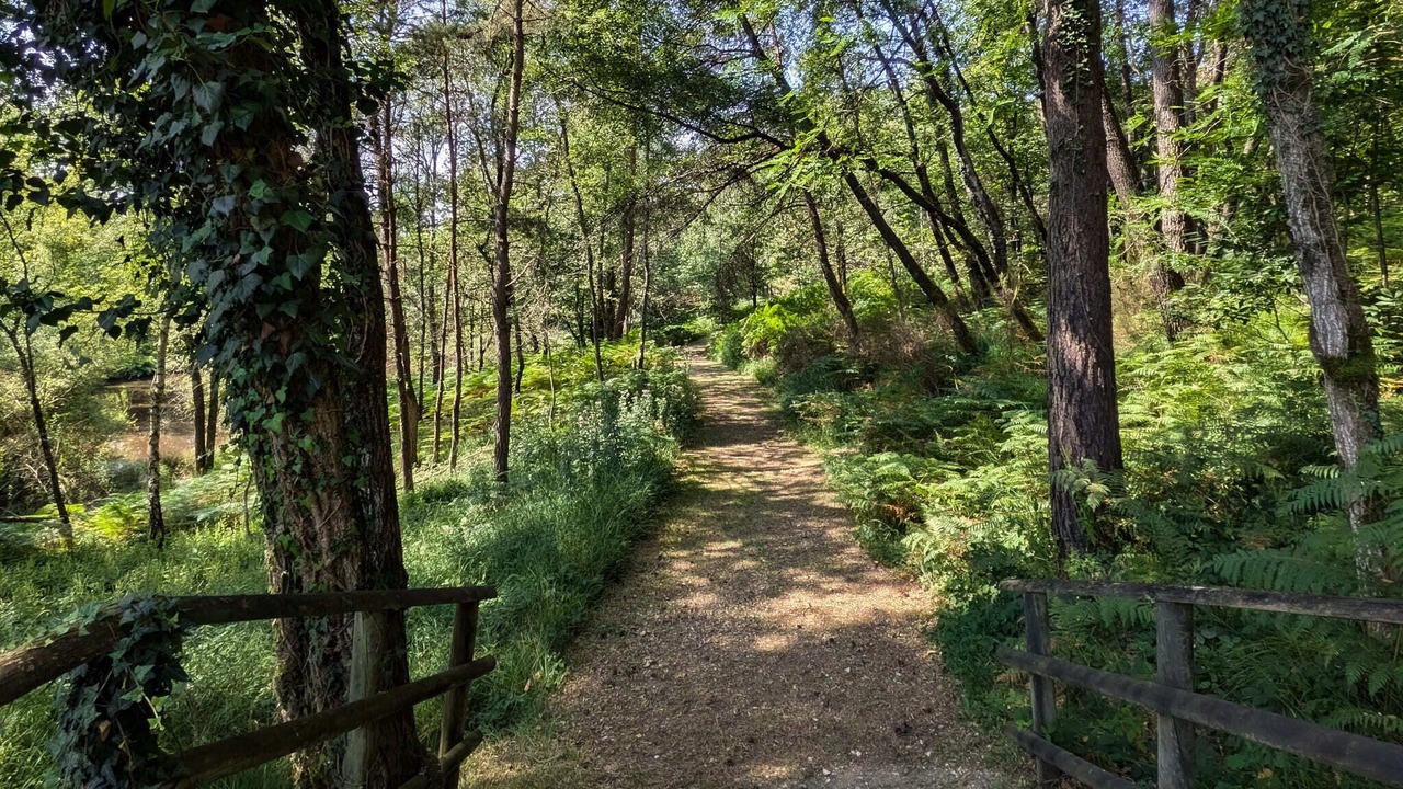 Photo of Outdoor in Milhac-de-Nontron
