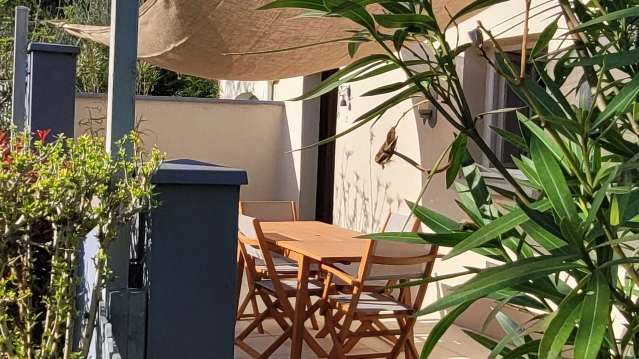 Photo of Outdoor in Prignac