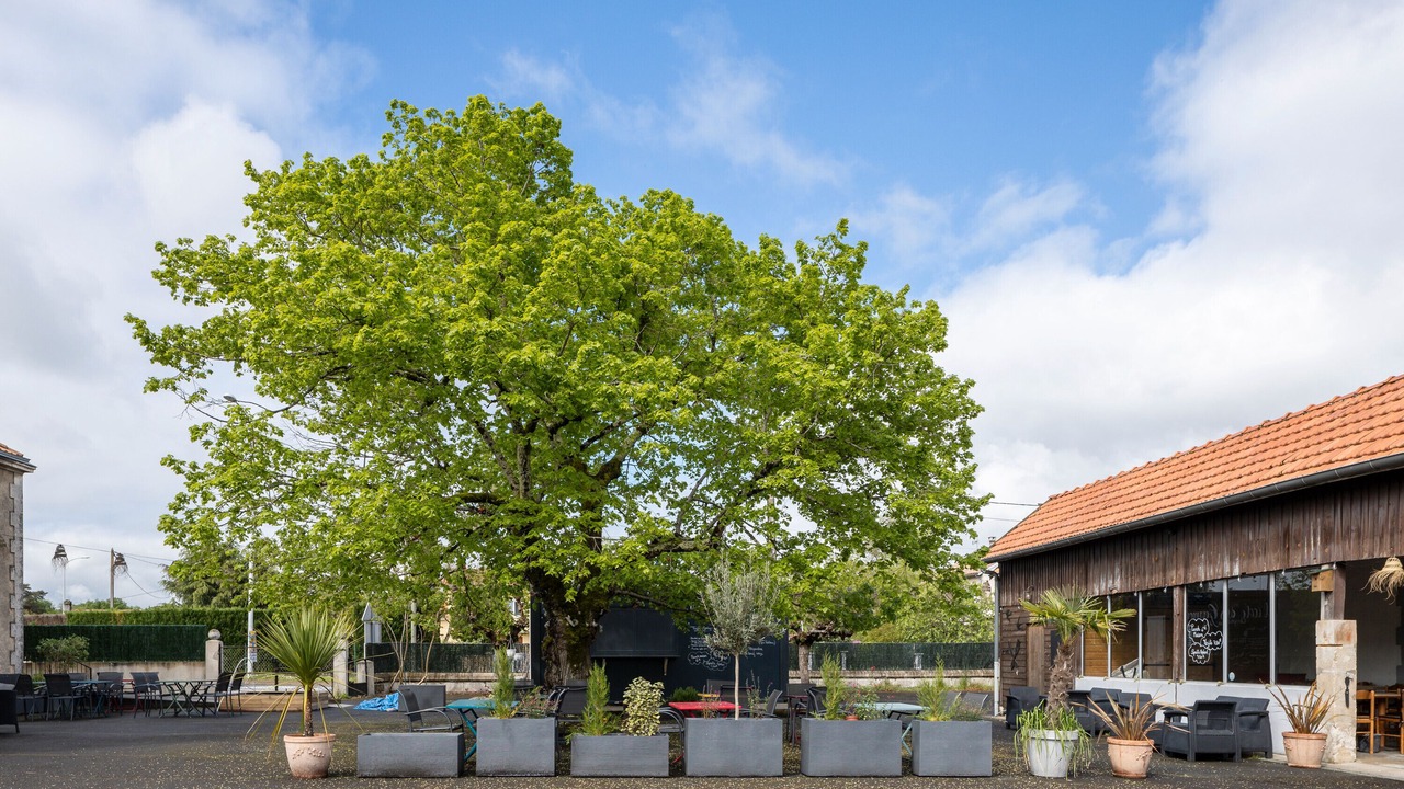 Photo of Outdoor in Moulin-Neuf
