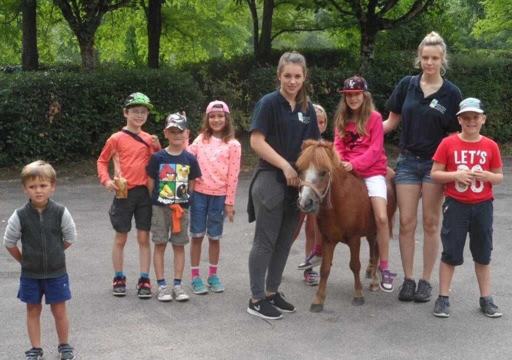Photo of Others in Thiviers