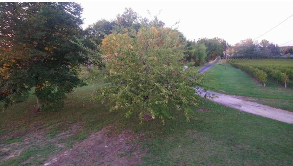 Photo of Others in Merignas