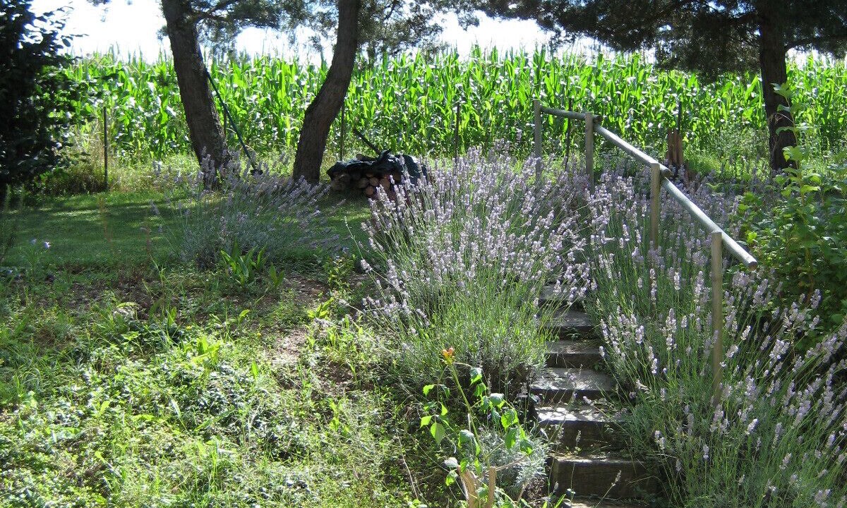 Photo of Outdoor in Les Essards