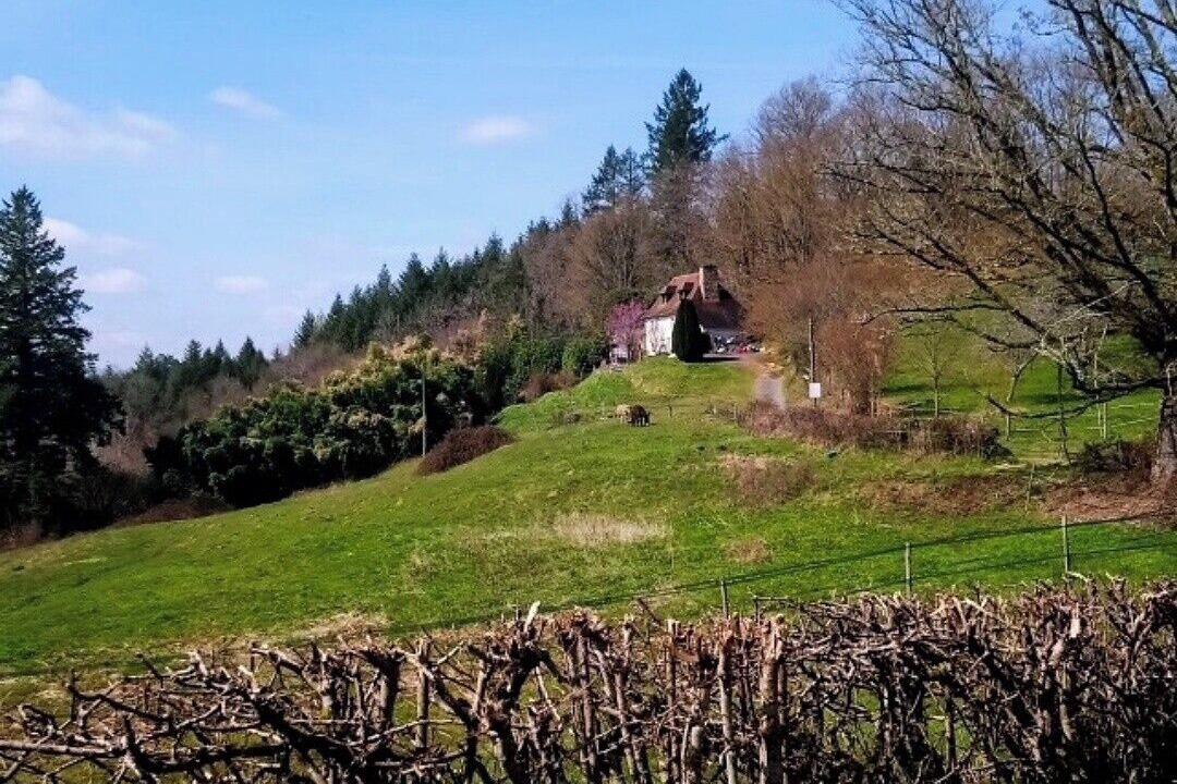 Photo of Others in Segur-le-Chateau