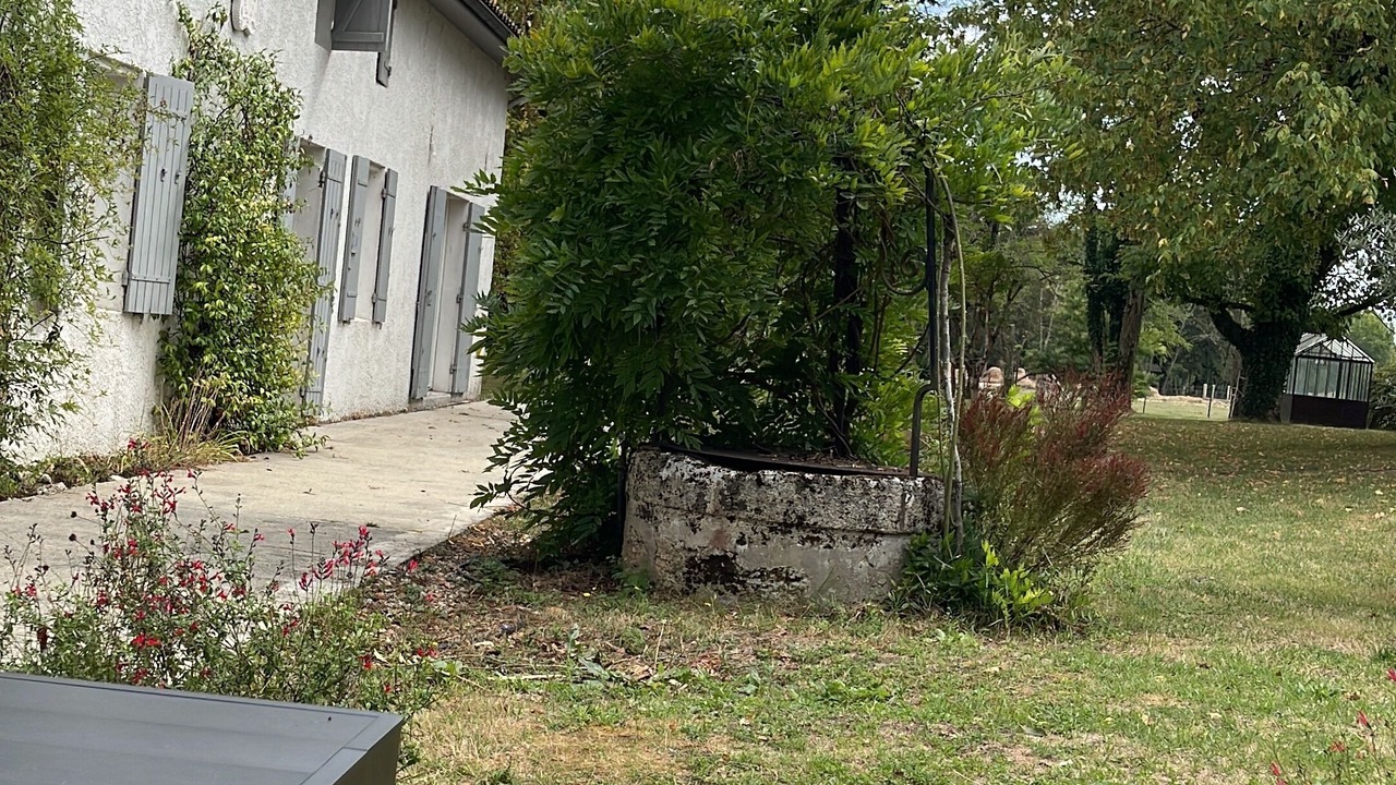 Photo of Outdoor in Saint-Vivien-de-Blaye