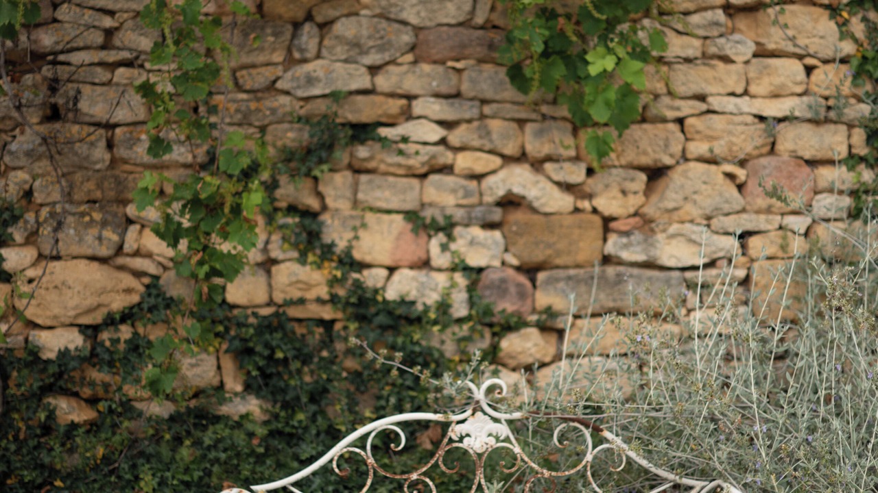 Photo of Others in Saint-Crepin-et-Carlucet