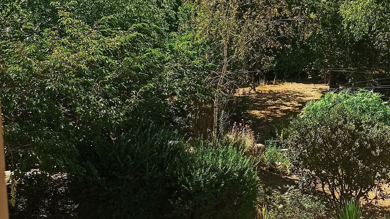 Photo of Others in Le Porge