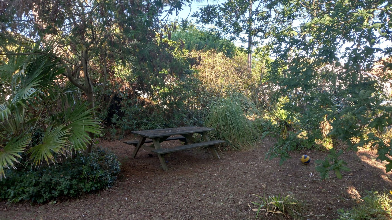 Photo of Outdoor in Saint-Trojan-les-Bains