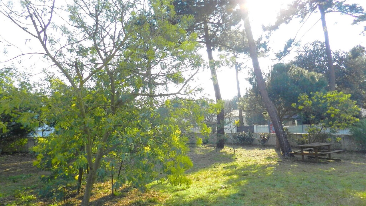 Photo of Outdoor in Le Grand-Village-Plage