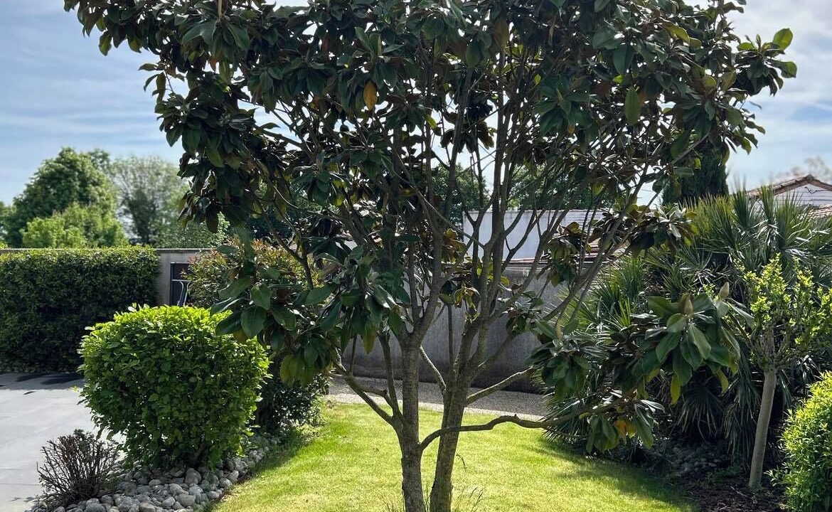 Photo of Outdoor in Cherveux