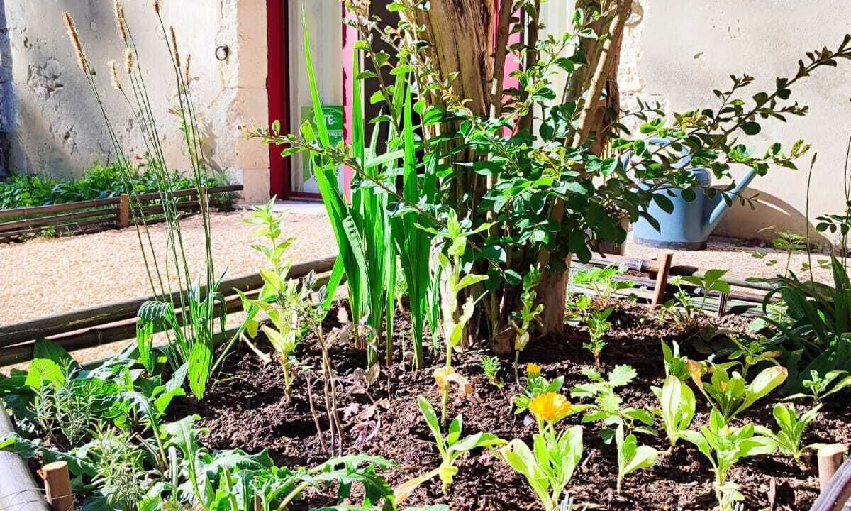 Photo of Outdoor in Plaisance
