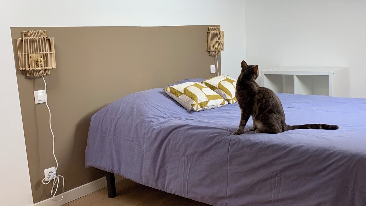 Photo of Bedroom in Saint Seurin - Fondaudege