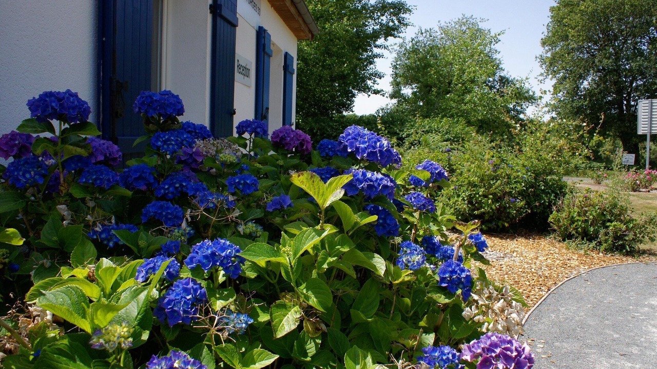 Photo of Outdoor in Bagnault