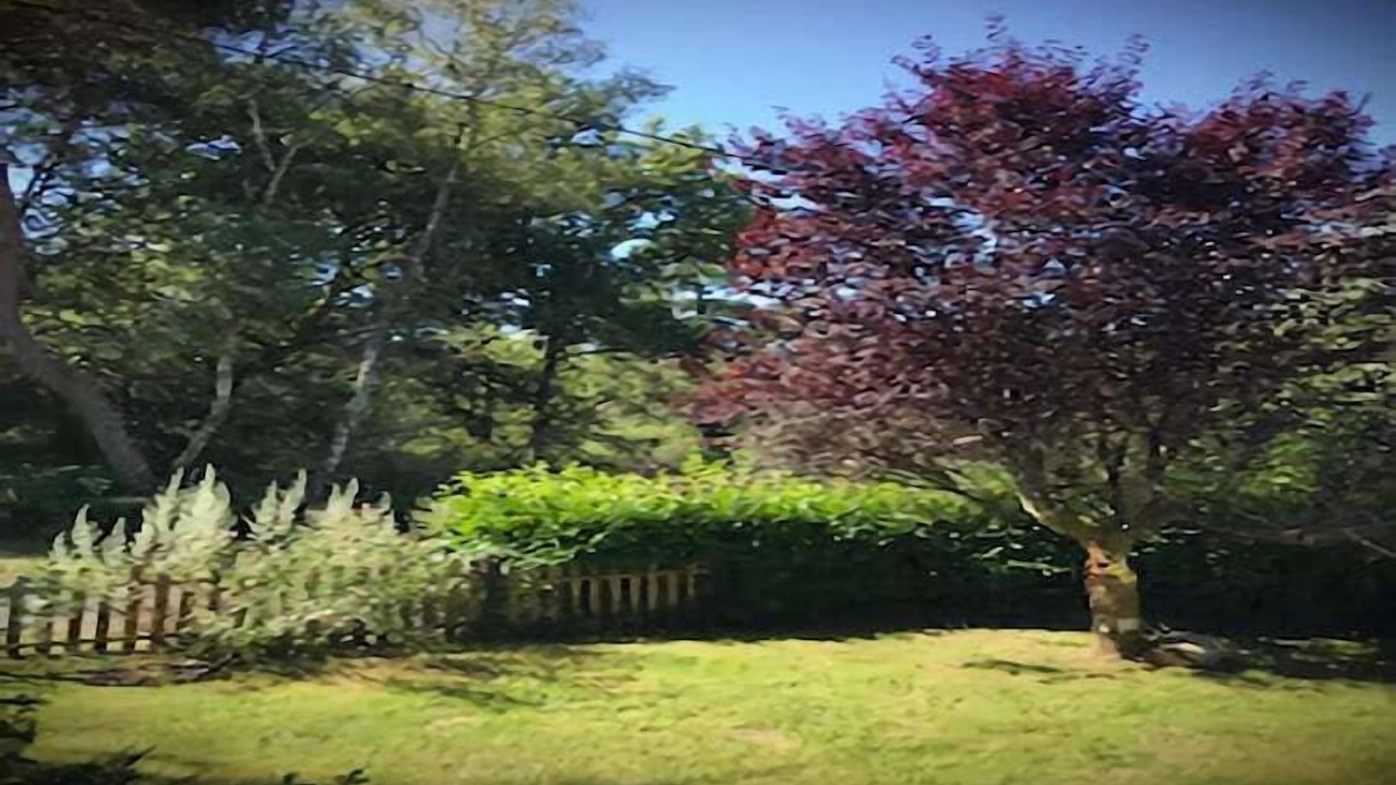 Photo of Outdoor in Auriac