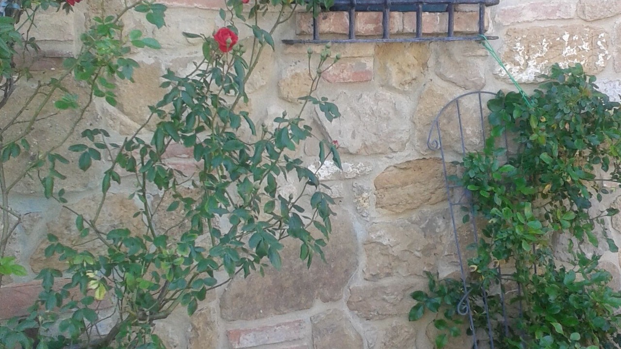 Photo of Outdoor in Chianciano Terme