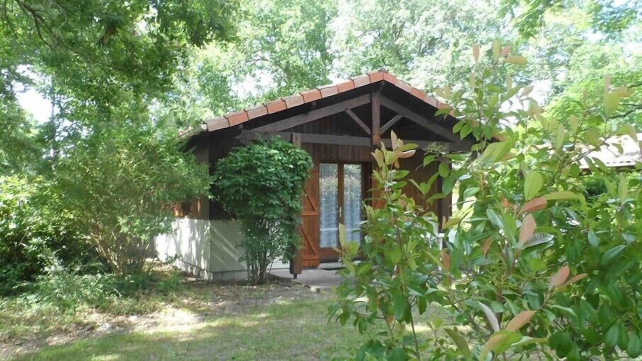 Photo of Outdoor in Noaillan