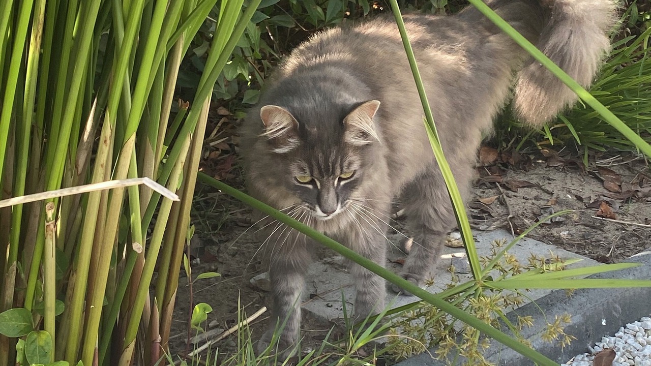 Photo of Outdoor in Tosse