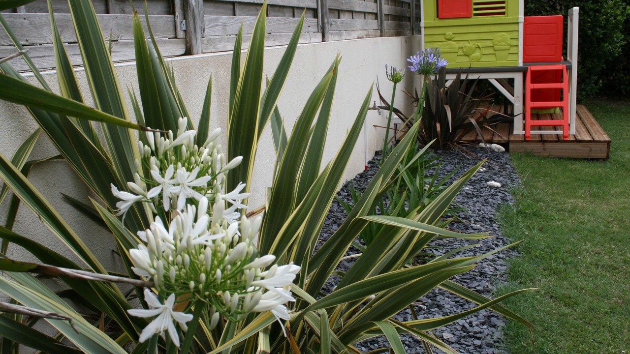 Photo of Outdoor in Saint-Palais-sur-Mer