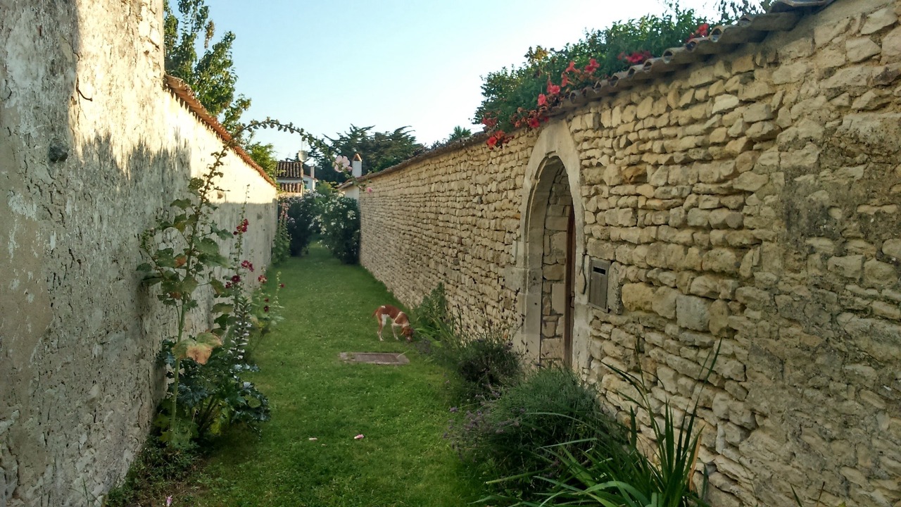 Photo of Outdoor in Saint-Martin-de-Re