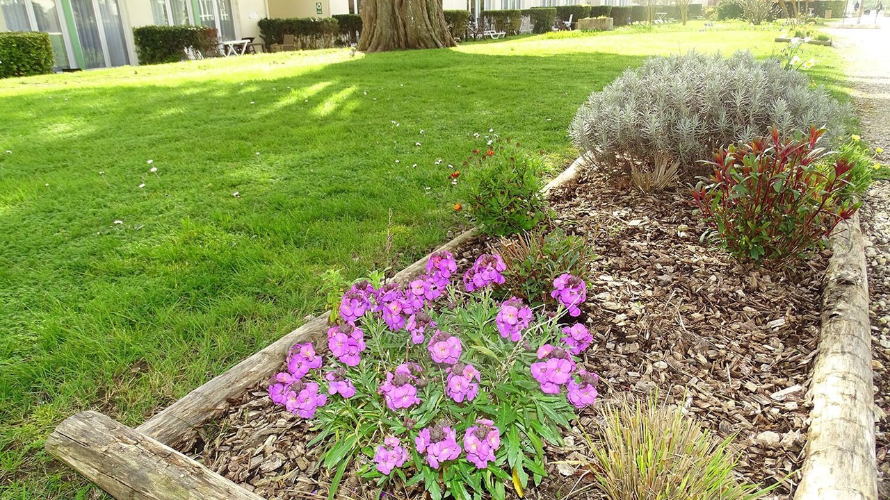 Photo of Outdoor in Saint-Martin-de-Re