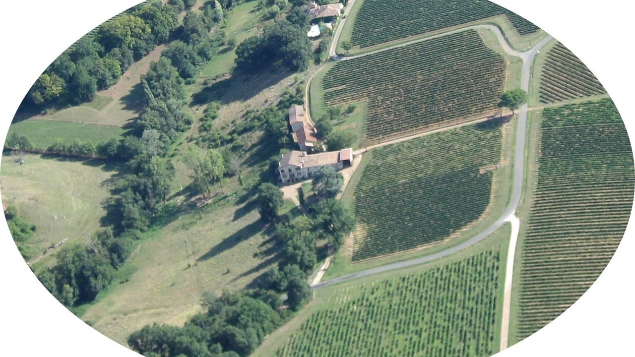 Photo of Outdoor in Juillac