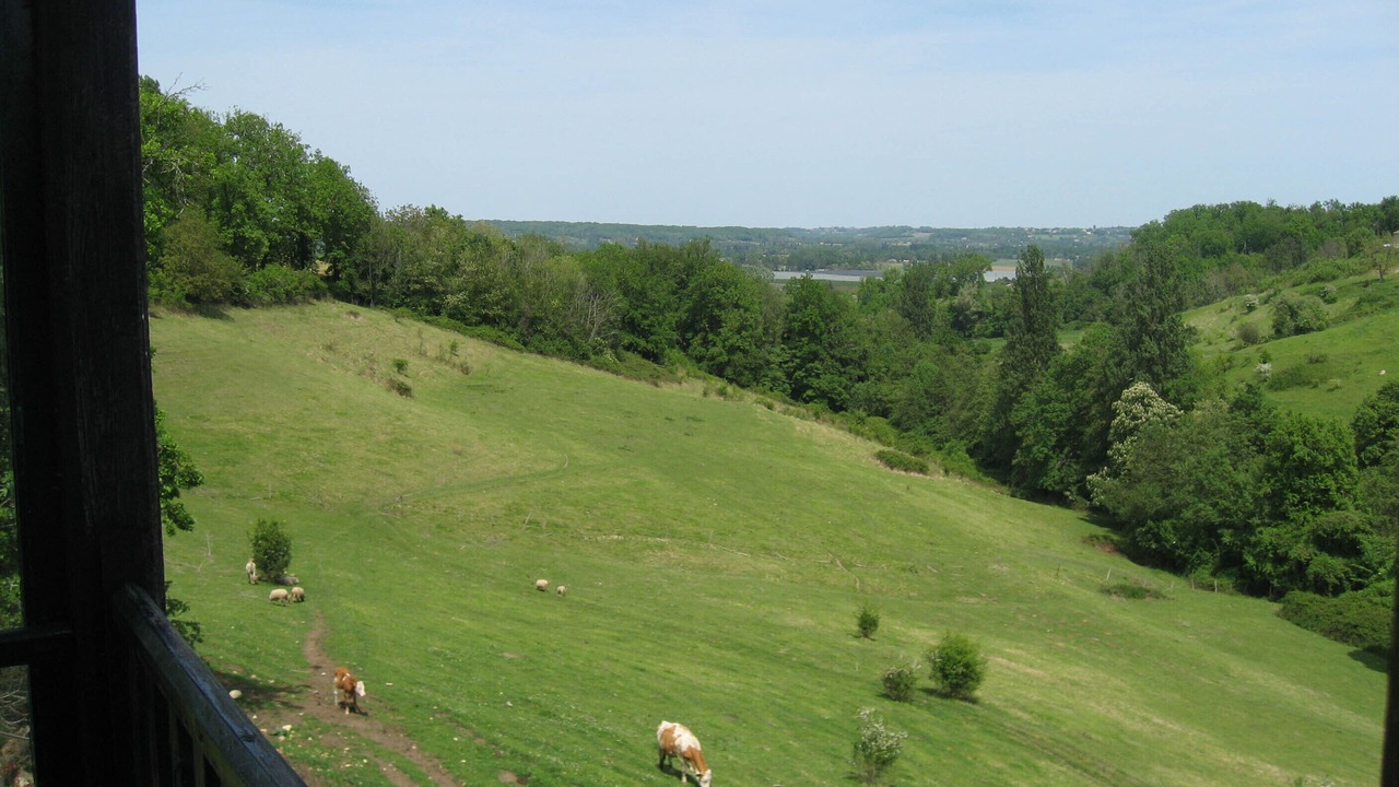 Photo of Others in Juillac