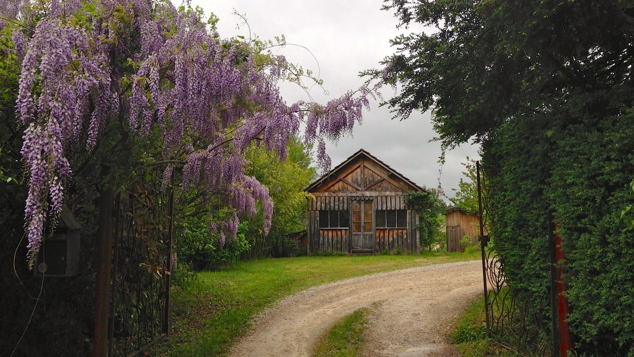 Photo of Outdoor in Sarlat-la-Caneda