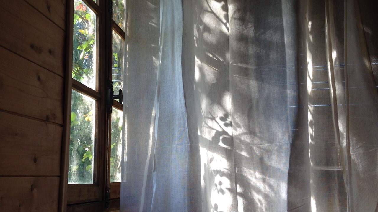 Photo of Others in Sarlat-la-Caneda