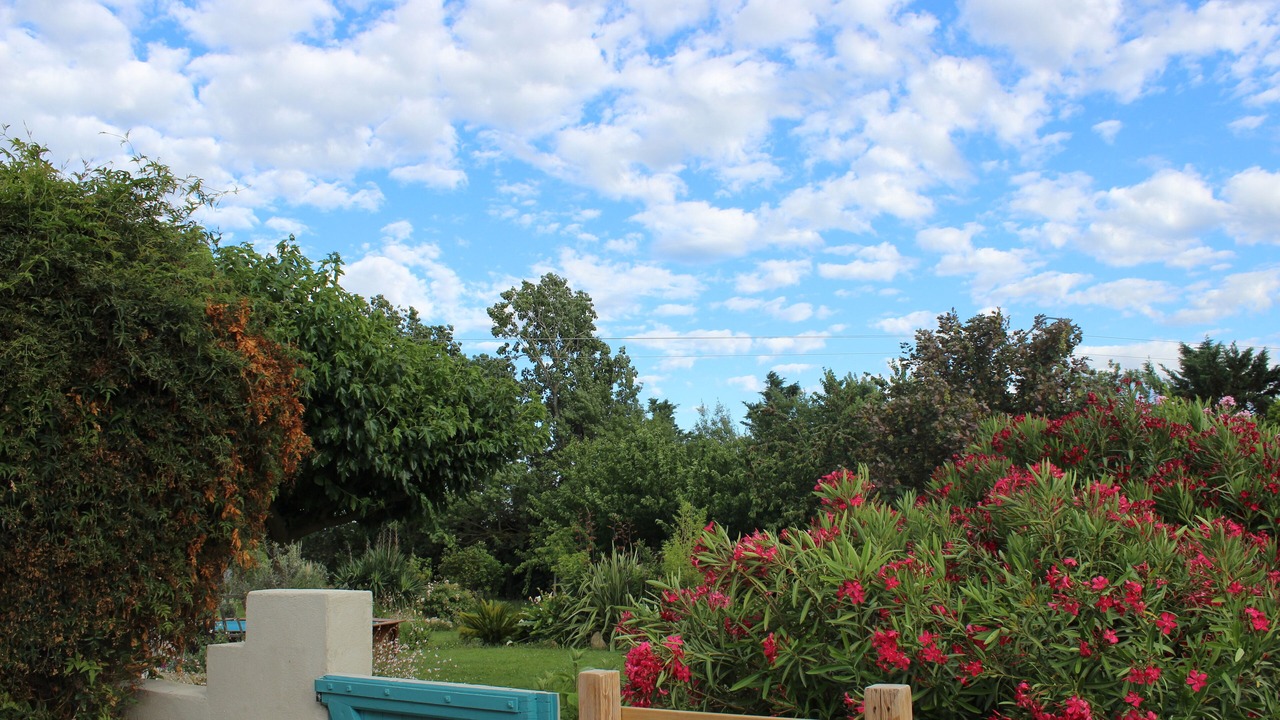 Photo of Outdoor in Tarascon