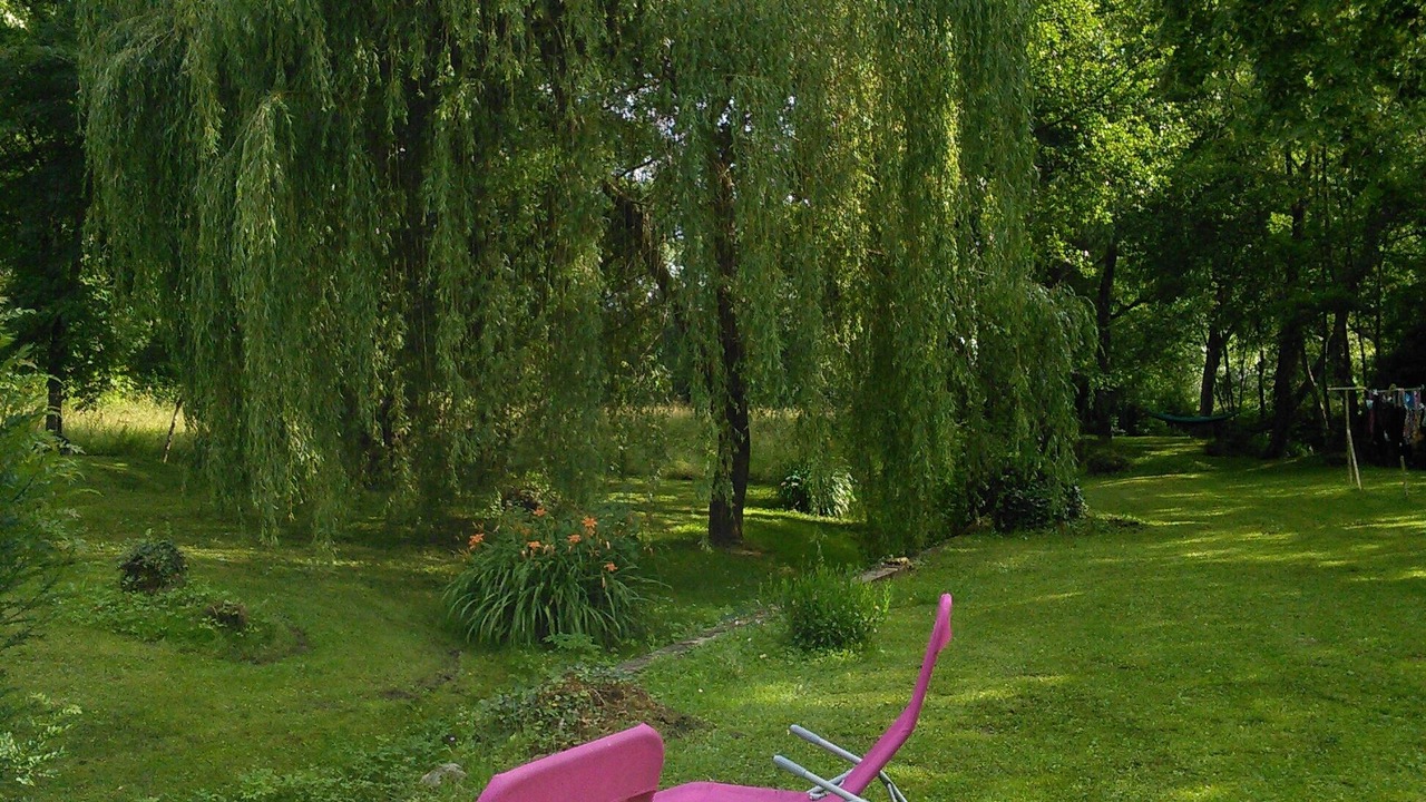 Photo of Outdoor in Lisle