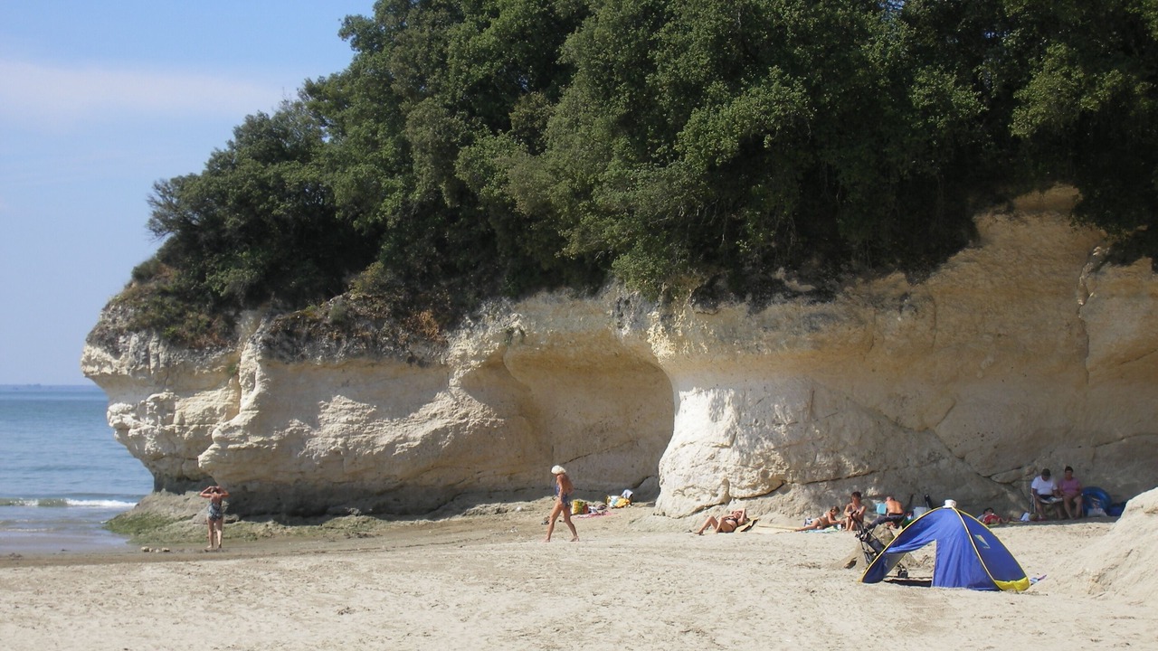 Photo of Others in Meschers-sur-Gironde