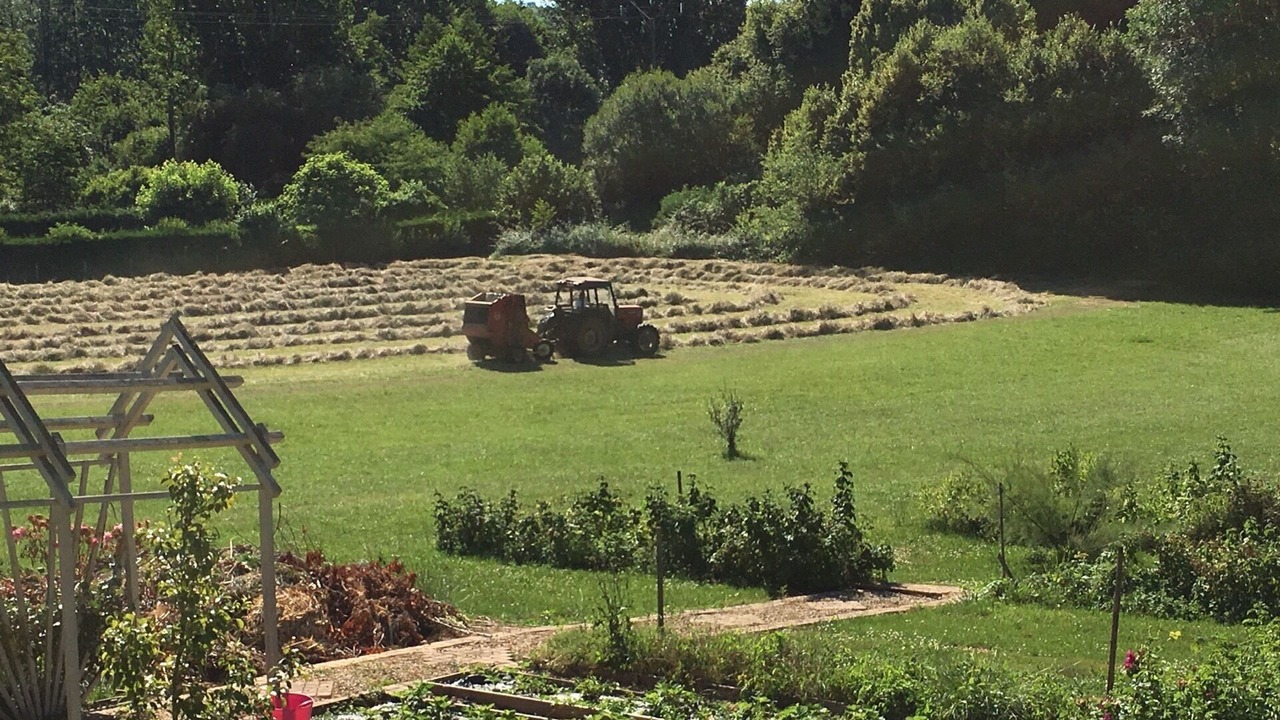 Photo of Others in Corgnac-sur-l'Isle