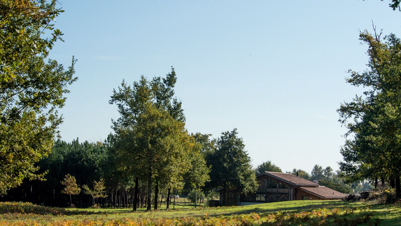 Photo of Outdoor in Vielle-Saint-Girons