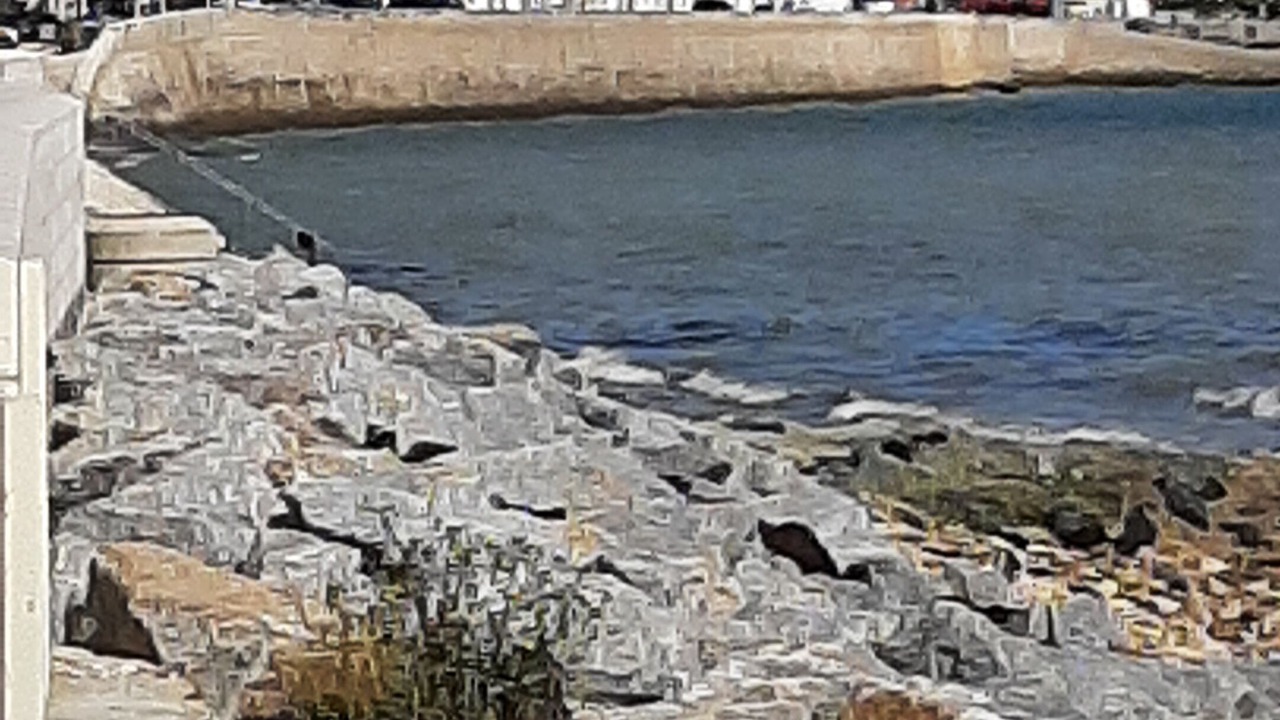 Photo of Others in Rivedoux-Plage