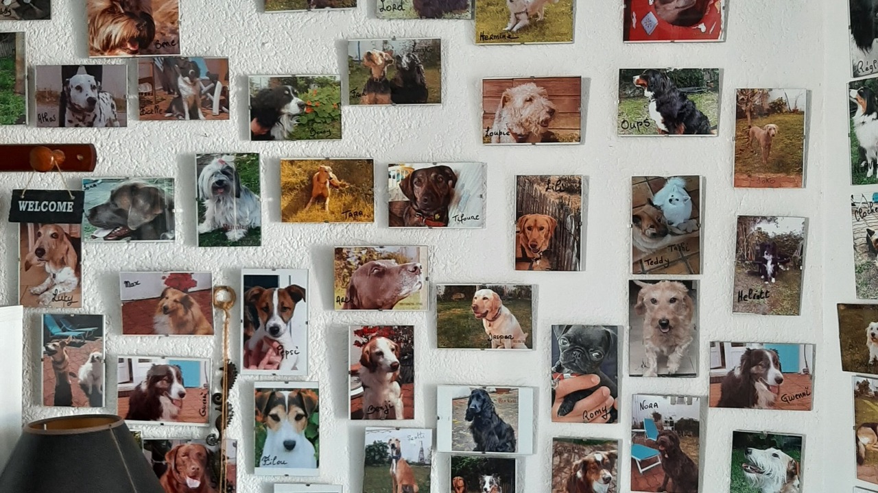 Photo of Others in Rivedoux-Plage