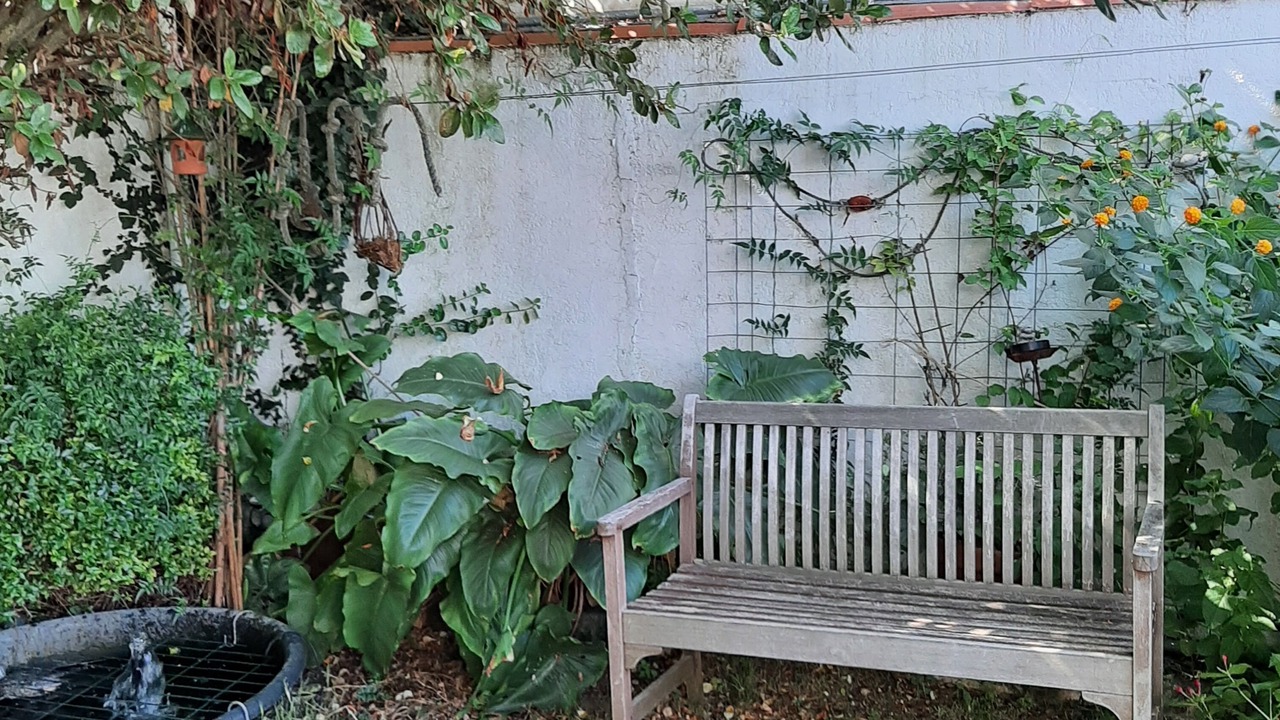 Photo of Outdoor in Rivedoux-Plage