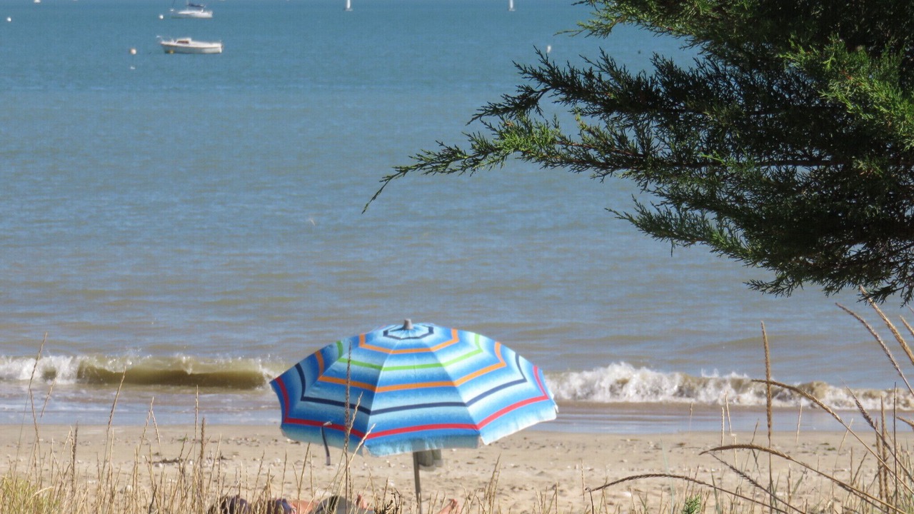 Photo of Others in Rivedoux-Plage