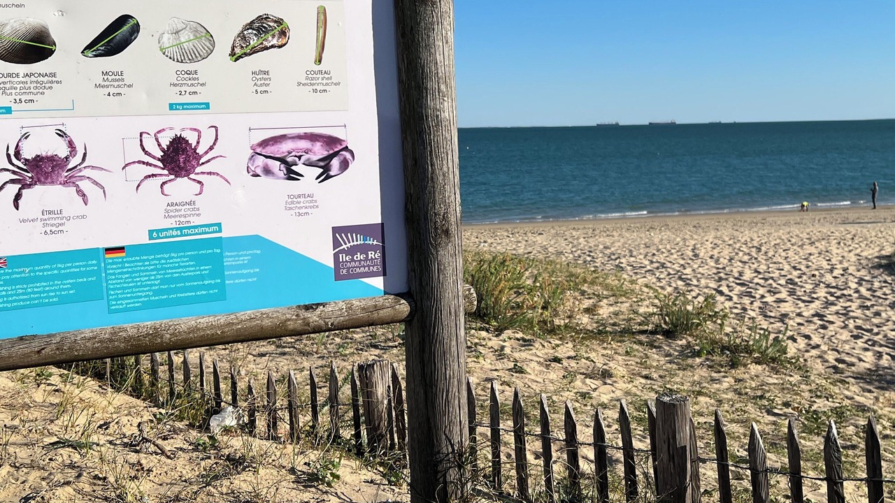 Photo of Others in Rivedoux-Plage