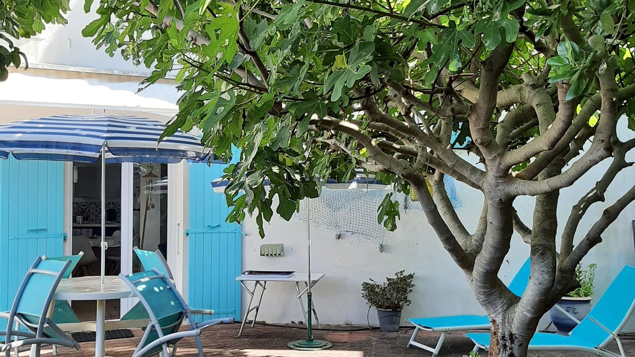 Photo of Outdoor in Rivedoux-Plage