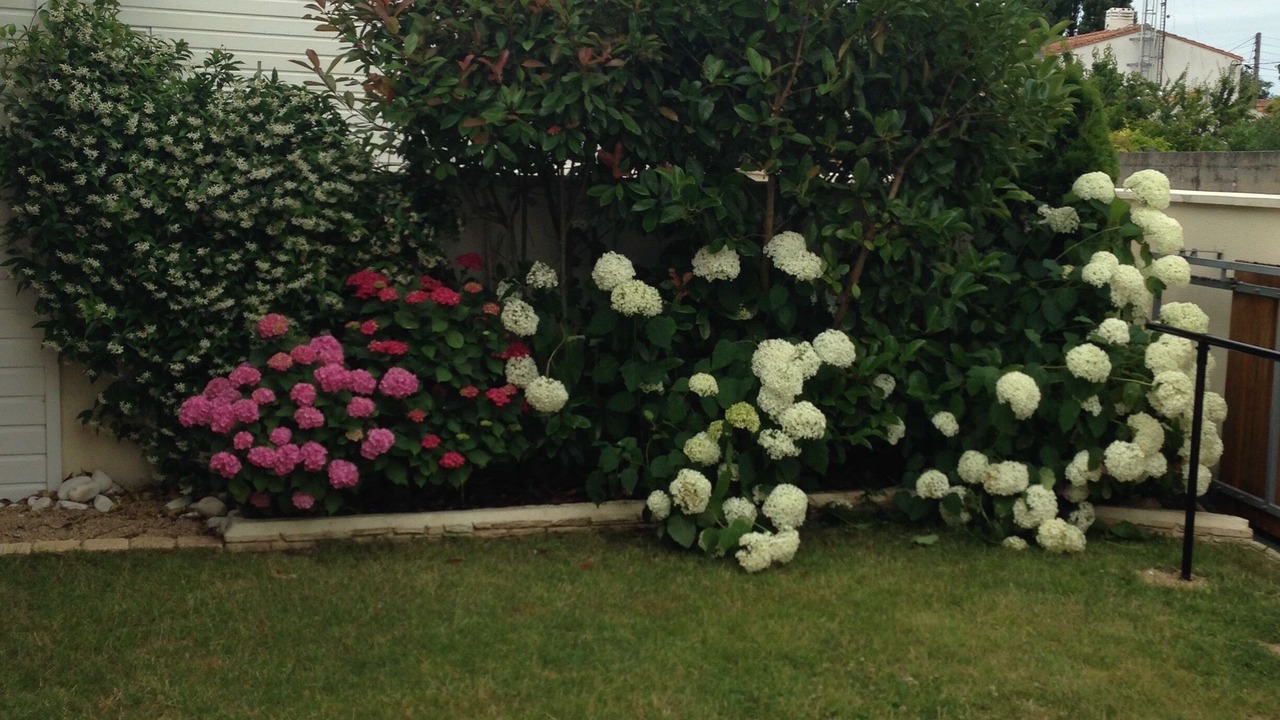 Photo of Outdoor in Royan