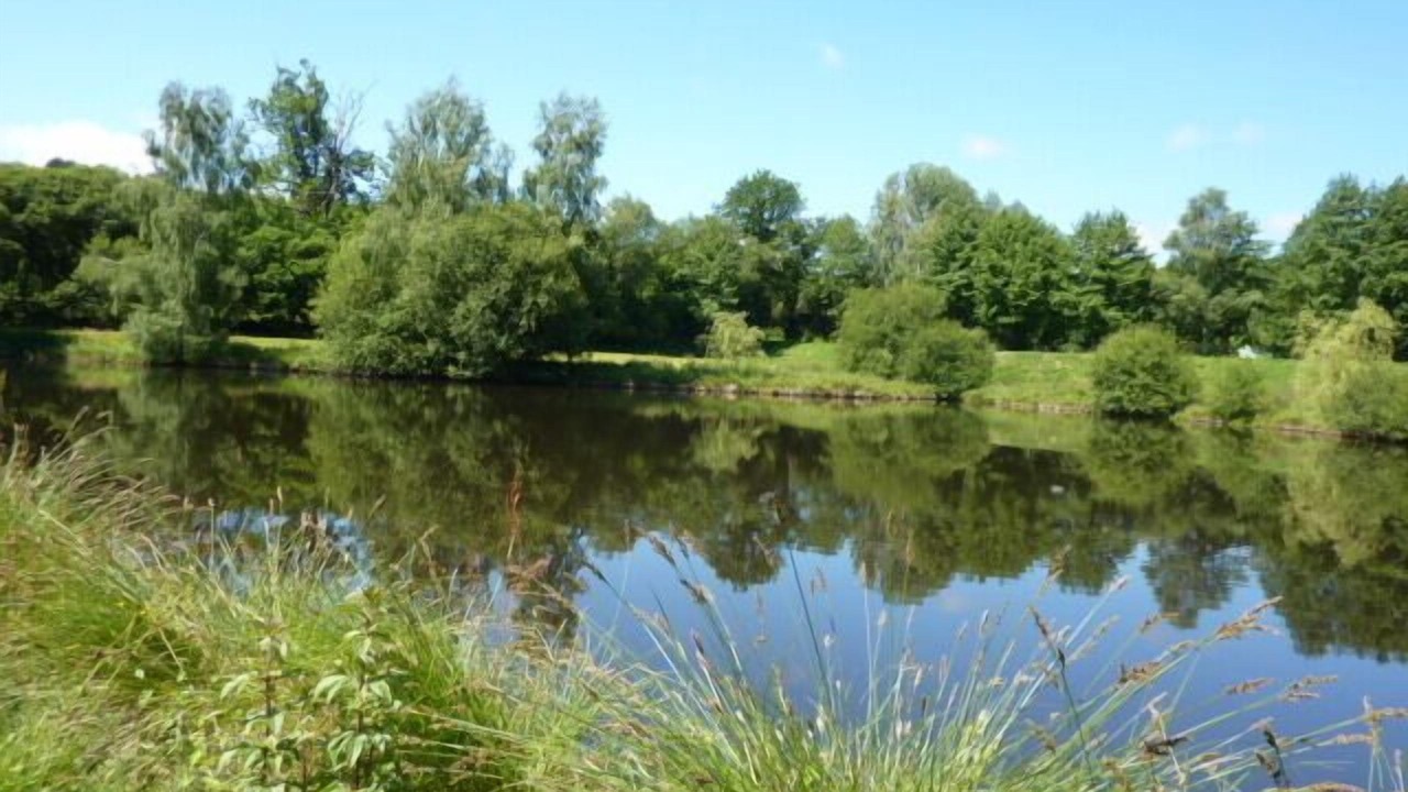 Photo of Outdoor in Dournazac
