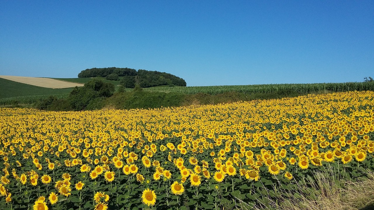 Photo of Outdoor in Becheresse