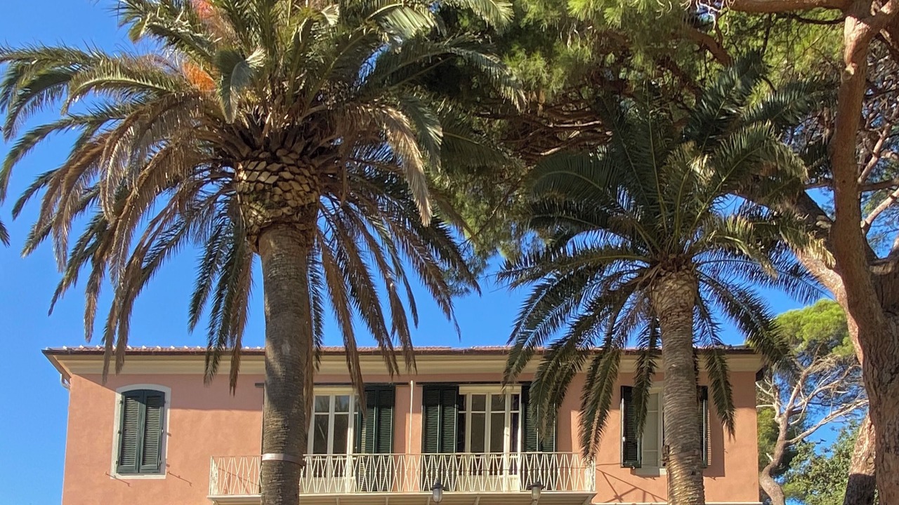 Photo of Others in Porto Azzurro